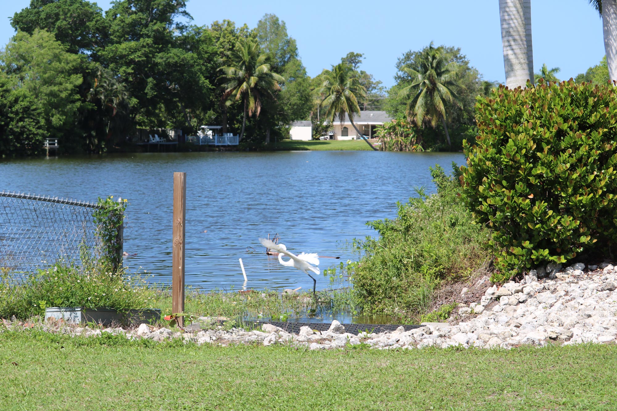 15th-Ave-N-Lake-Pic1
