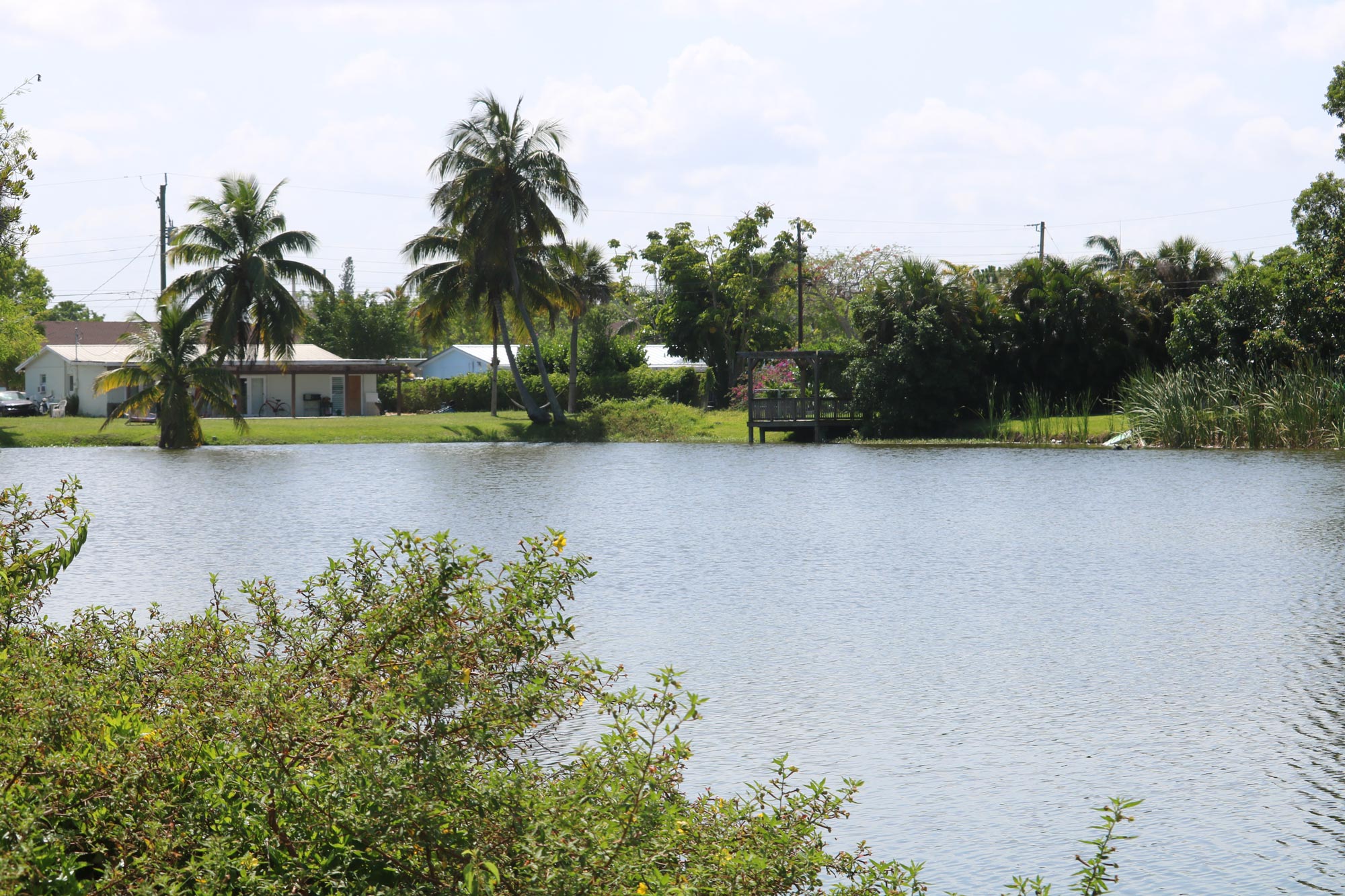 15th-Ave-N-Lake-Pic2